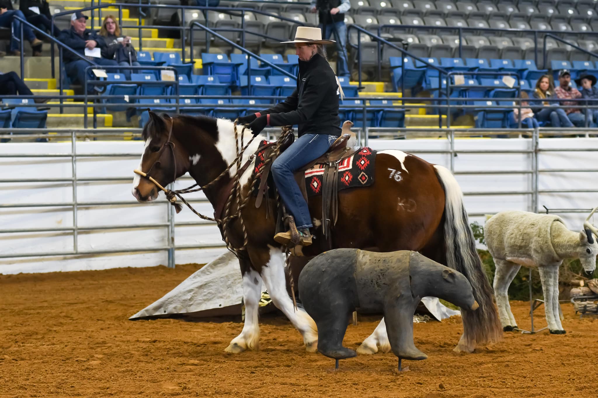 Great American Trail Horse Competition