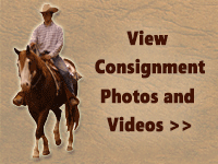 2022 Consignment Photos